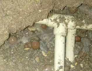 牡丹卫生间测漏