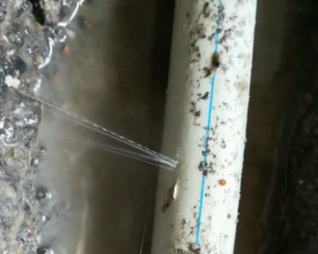 牡丹卫生间测漏水多少钱